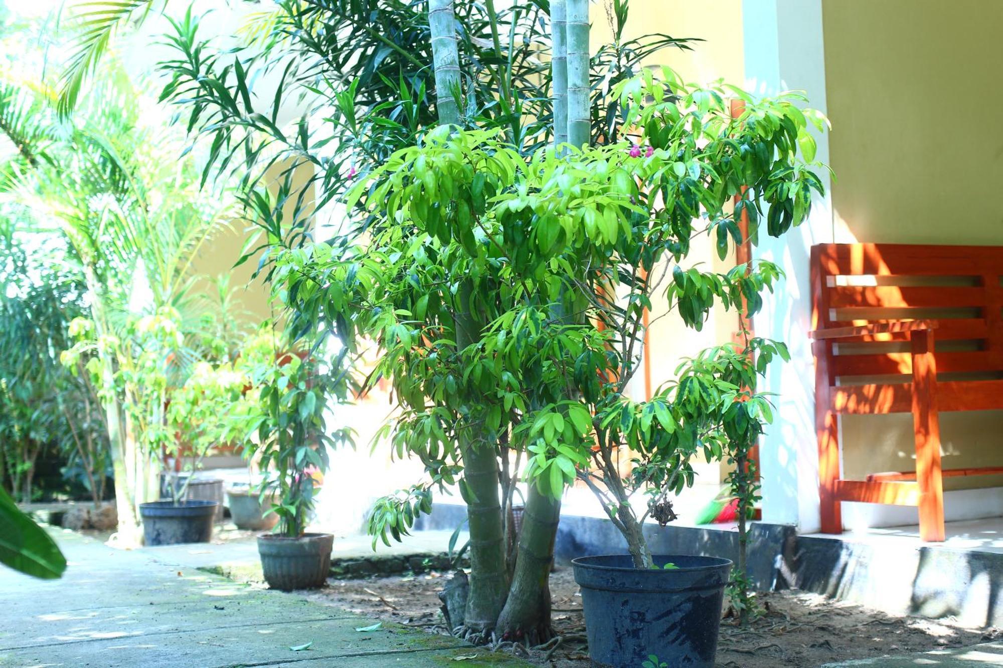 Three V Homestay Kuta  ภายนอก รูปภาพ